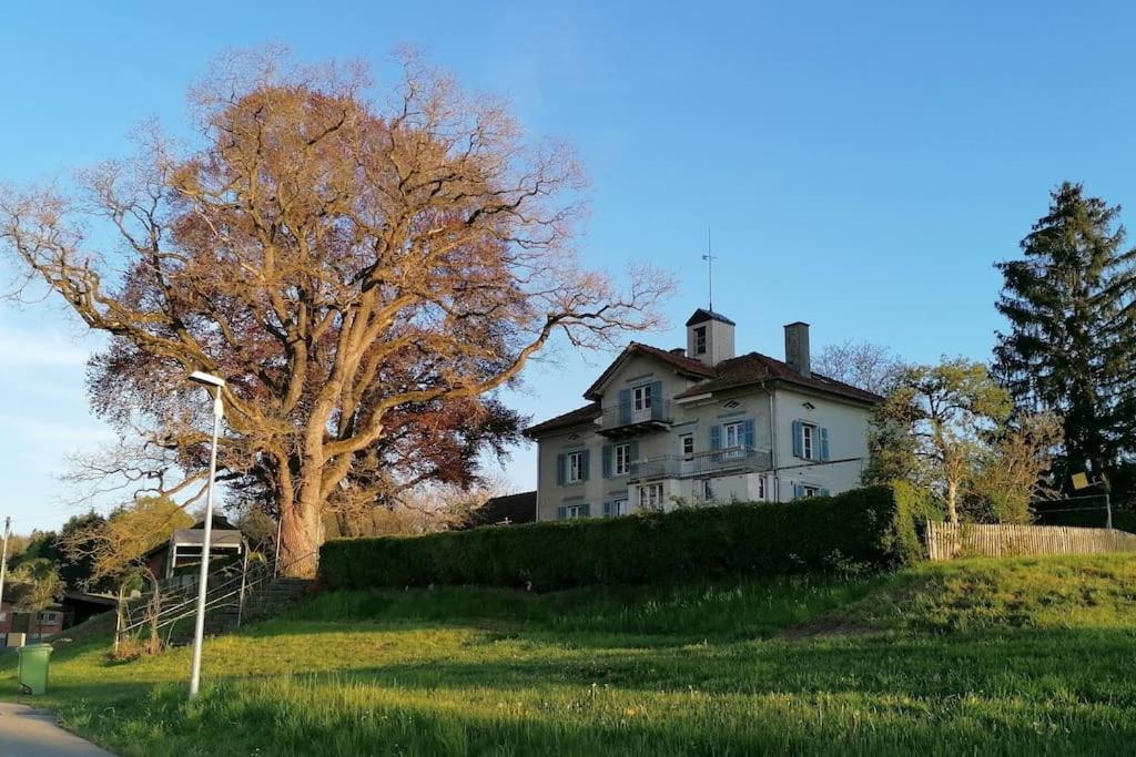 Seesicht Und Charmante Wohnung Bei Hanni Und Ueli Bottighofen 외부 사진